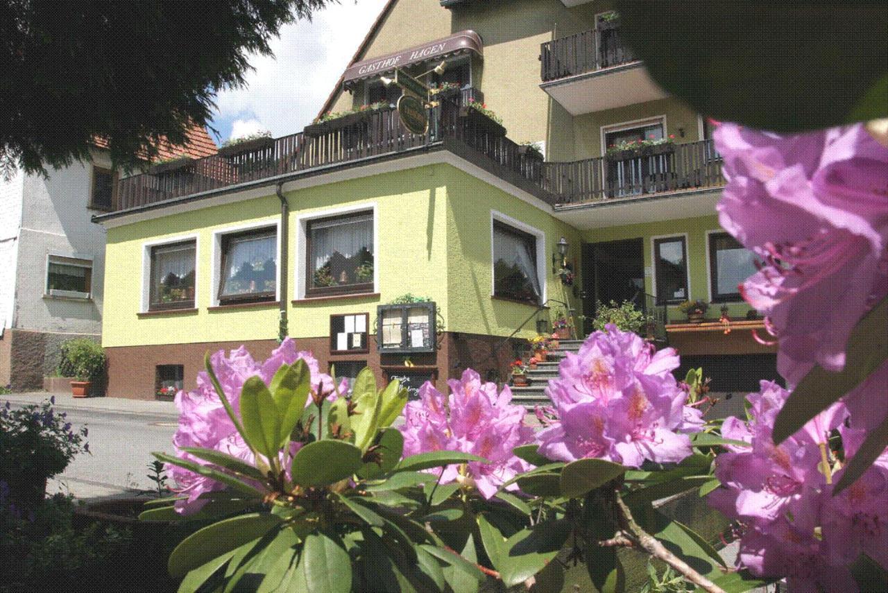 Landgasthof Hagen Hotel Grasellenbach Ngoại thất bức ảnh